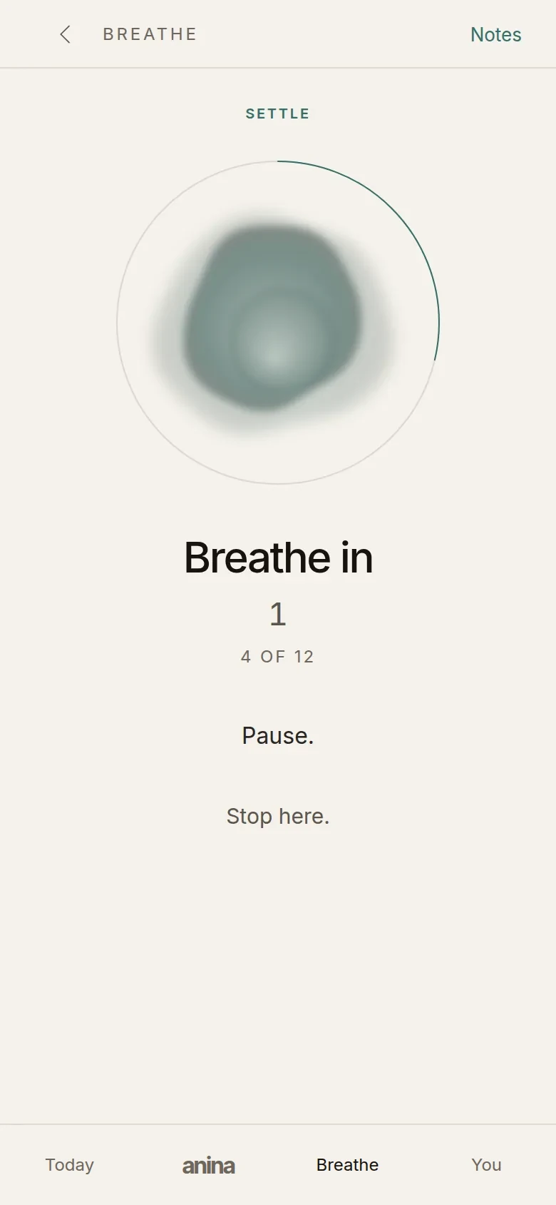 The app's breathing screen: the orb grown wide on an in-breath, the words “Breathe in” beneath it and a thin ring marking how far along the session is